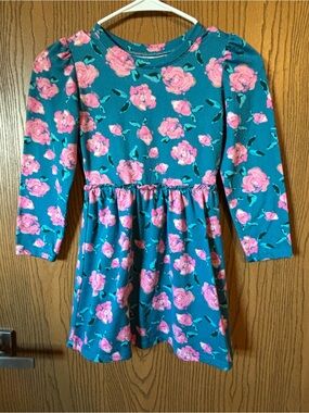 Falls Creek Deep Teal Dress with Pink Floral Print